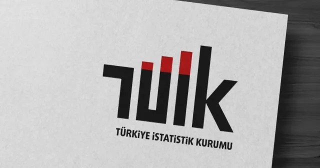 TÜİK, girişim özelliklerine göre dış ticaret istatistiklerini yayınladı