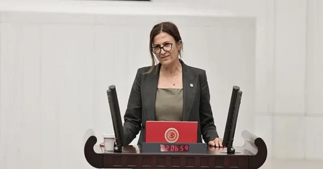 Türkan Elçi, Diyarbakır’da işletmelere yönelik düzenlenen saldırıları TBMM'ye taşıdı