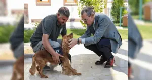 Erdal Beşikçioğlu 5 sokak köpeği belediyede görevlendirildi
