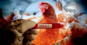 Hayvanlarla teması olmayan bir kişide ilk kez kuş gribi görüldü