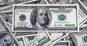 Net dış borç stoku 265,4 milyar dolar oldu