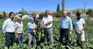 Ömer Fethi Gürer: Çiftçiler 2024 yılında dönüm dönüm zarar etti