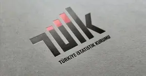 TÜİK yükseköğretim mezunu 'beyin göçü' raporu: ABD en çok tercih edilen ülke