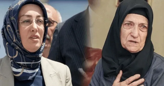 Ayşe Ateş: "Bahçeli! Gör eserini"