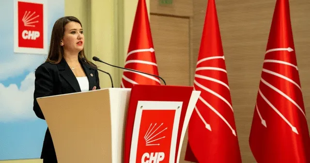 Gökçe Gökçen: "Çözüm, ifade özgürlüğünün olmadığı bir ortamda Anayasa’yı değil, iktidarı değiştirmek"