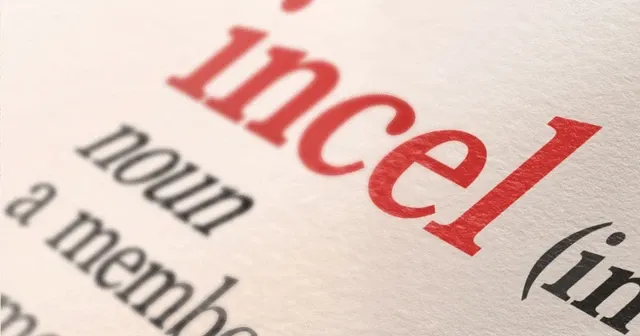 Incel kültürü nedir, dünya çapında kadınlara yönelik şiddet vakaları ile bağlantısı ne?