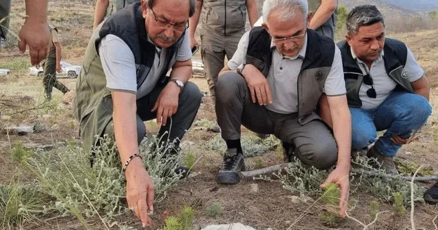 Orman Genel Müdürü Bekir Karacabey Denizli'deki orman yangınına ilişkin açıklama yaptı