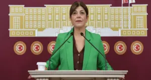 Meral Danış Beştaş: "Cezasızlık politikası, erkek egemen anlayışla birleşince kadınlara ölmek düşüyor"
