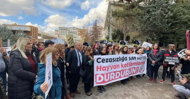 Ankara Barosu Hayvan Hakları Merkezi, Sokak Hayvanları Yönetmelik taslağını protesto etti