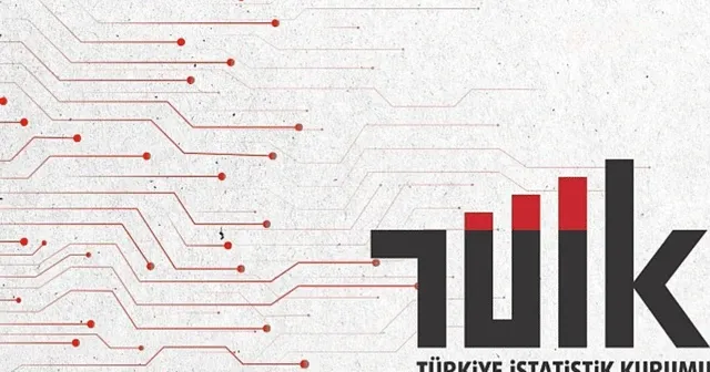 TÜİK, 2023 Sanayi Sektörü Nihai Enerji Tüketim Araştırması sonuçlarını yayınladı