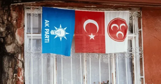 Yeni bir siyasal partiler koalisyon modeli mi icat ettik? Kedidir kedi
