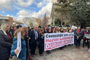 Ankara Barosu Hayvan Hakları Merkezi, Sokak Hayvanları Yönetmelik taslağını protesto etti