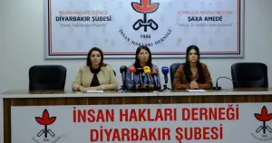 İHD Diyarbakır Şubesi'nden Doğu ve Güneydoğu’da kadına yönelik şiddet raporunu açıkladı