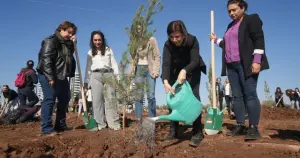 Katledilen kadınlar için Diyarbakır’da 80 fidan dikildi