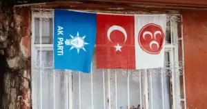 Yeni bir siyasal partiler koalisyon modeli mi icat ettik? Kedidir kedi