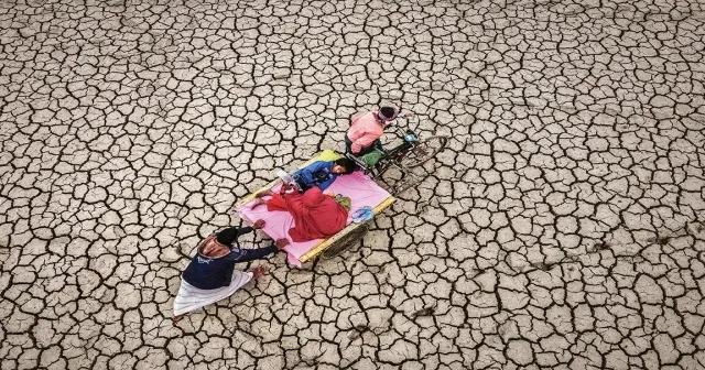 2024 ekoloji gündeminden akılda kalanlar: Suların yükselişi, insanlığın alçalışı, siyasetin haydutlaşması