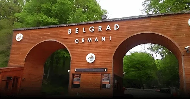 İBB'den Belgrad Ormanı açıklaması: Hukuk mücadelesi sürüyor