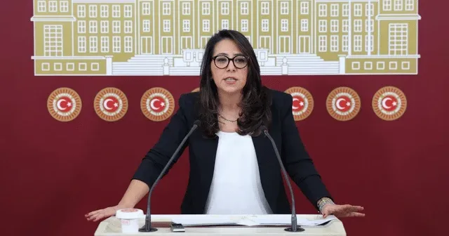 Sera Kadıgil: "Bütün özel hastanelerin kamulaştırılmasını ve paralarının da Sağlık Bakanlığı bütçesine ayrılmasını teklif ediyoruz"