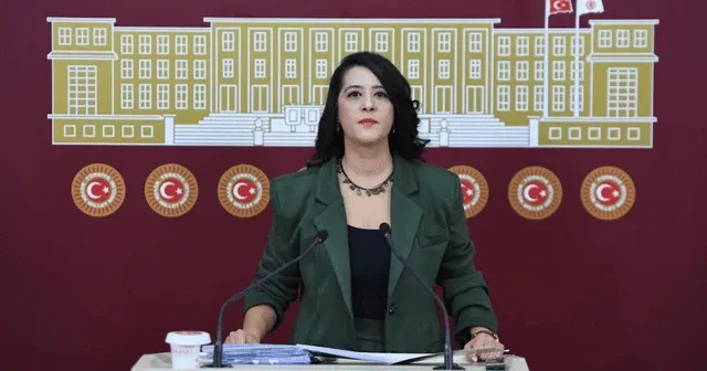 Sevda Karaca: "Türkiye Yüzyılı dedikleri şey grev yasağı, işçi cinayeti, çocuk işçi rakamlarında rekorlarla yazılan bir hikaye"