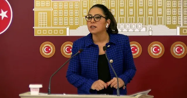 Türkiye İşçi Partisi Sözcüsü Sera Kadıgil, Milli Savunma Bakanlığı bütçesini eleştirdi