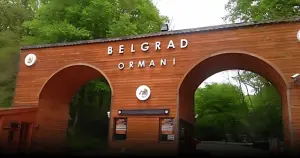 İBB'den Belgrad Ormanı açıklaması: Hukuk mücadelesi sürüyor