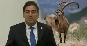 İYİ Partili Ünal Karaman, yaban keçisi avlarken yakalandı
