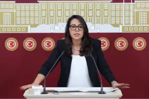 Sera Kadıgil: "Bütün özel hastanelerin kamulaştırılmasını ve paralarının da Sağlık Bakanlığı bütçesine ayrılmasını teklif ediyoruz"