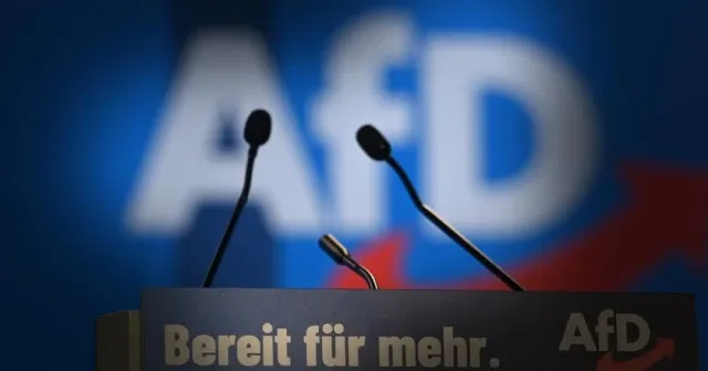 Göçmen düşmanlığından faşizme: AfD'nin Almanya'yı kuşatma stratejisi
