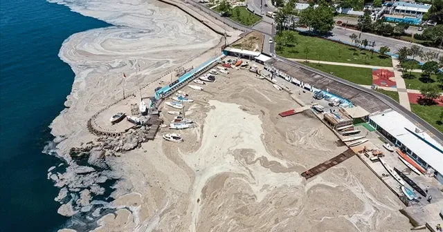 Marmara'ya kıyı 7 belediyeye müsilaj uyarısı