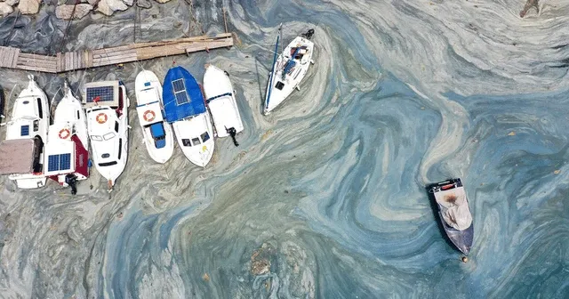 Su şehrin geçmişi ve geleceği ile ilgili hayati bir sırrı gizliyor 