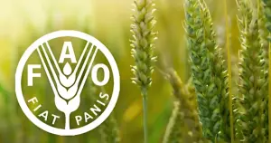 FAO: Küresel gıda fiyatları 2024'ü, 2023'ün altında tamamladı