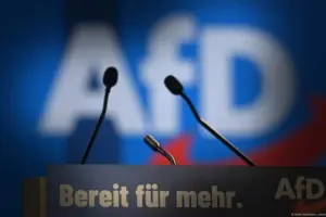 Göçmen düşmanlığından faşizme: AfD'nin Almanya'yı kuşatma stratejisi