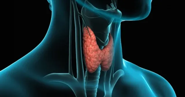 Kilo verememenizin sebebi tiroid hormonu olabilir