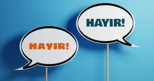 “Hayır” diyebilmek ya da istemediğiniz bir şeye kaç kez “evet” dediniz?
