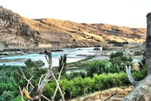Saraçhane günleri ekopolitiği: Yurttaş gazlanırken, krizi ranta çevirdiler