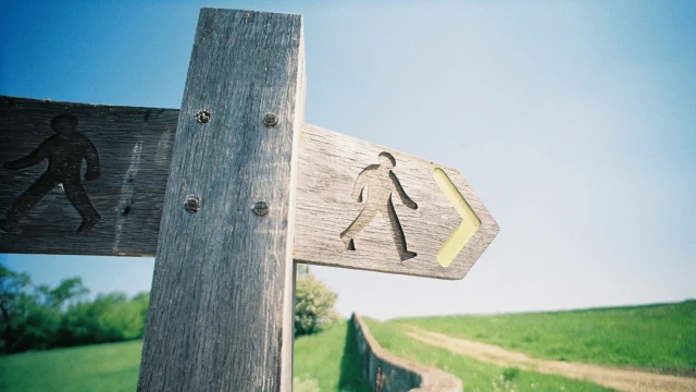 Yol ayrımında…