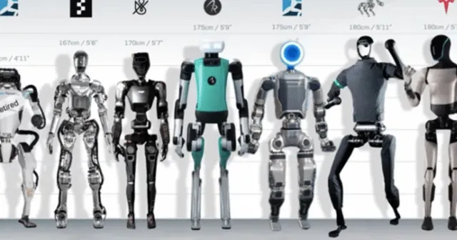 İnsansı Robotlar: Bize benzemek zorunda olmalarının sırrı