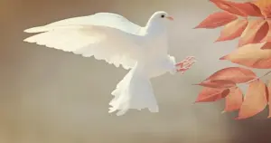 Dökülmüş yapraklardan bahara ulaşmak mümkündür