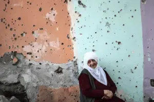 Terörsüz Türkiye, Demokrasi ve Hukuk Devleti