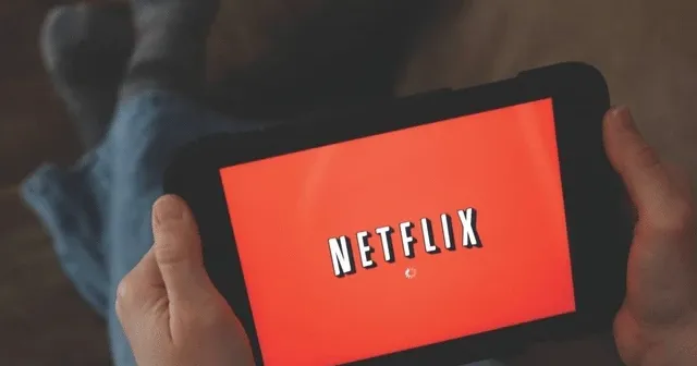 Türkiye gençleri, Netflix izlediği sürece Türkiye Demokrasisi için umut var
