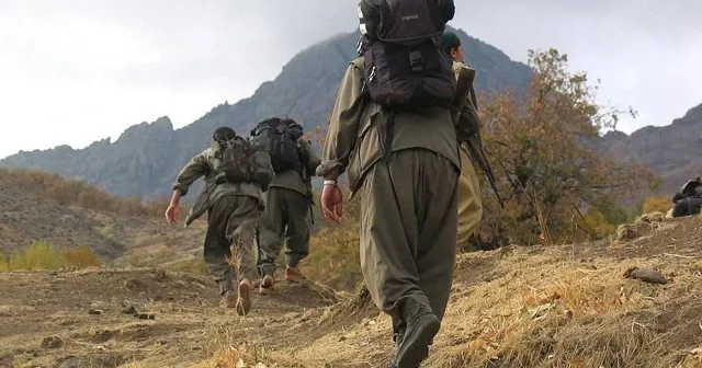 Silahlar sustu, sıra Meclis’te: Kalıcı barış için siyasi cesaret