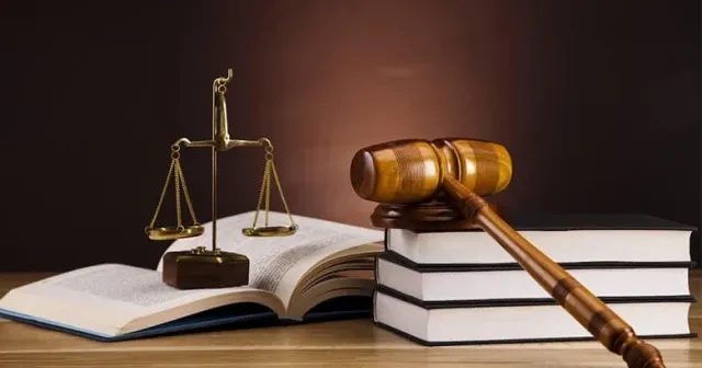 Anayasa Madde 66: Türk vatandaşlığı