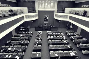 Otorite yerel demokrasiye karşı