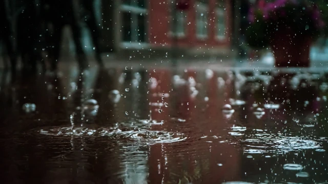 Yazının şeytanı