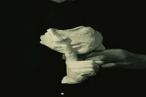 Sükut altındır