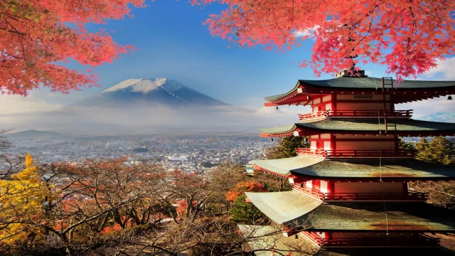 Saygın bir toplum olmak mümkün mü?: Japonya anıları