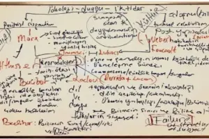 Dil kime ait, İktidar kime?
