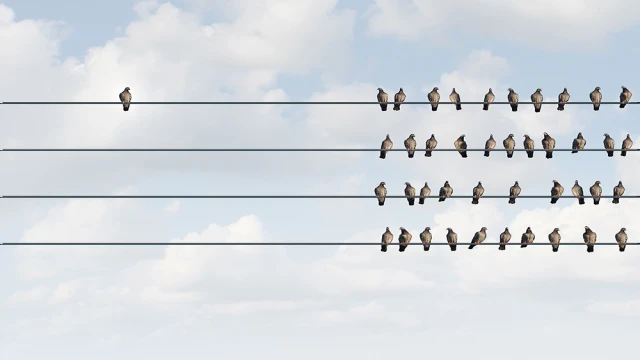 Psikolojik açıdan önyargı ve ayrımcılık