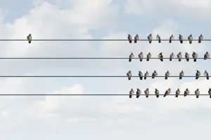 Psikolojik açıdan önyargı ve ayrımcılık