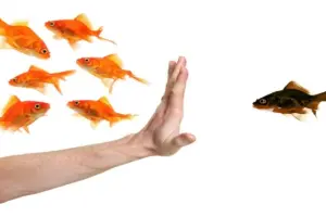 Önyargı ve ayrımcılığa ilişkisel psikanalitik bir bakış